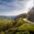 The Ever-Changing Landscape and Scenery of Southeast SC