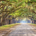 The Ultimate Guide to Planning Your Annual Holiday in Southeast SC