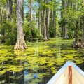 The Ultimate Guide to Day Trips and Excursions in Southeast SC