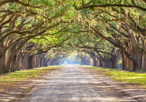 The Ultimate Guide to Planning Your Annual Holiday in Southeast SC